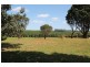 357 Rous Road, Rous Mill NSW 2477