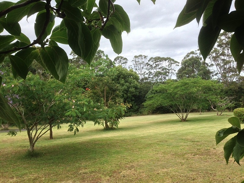 160 Byrnes Lane, Alstonville NSW 2477