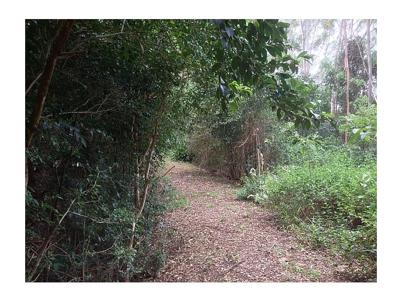 160 Byrnes Lane, Alstonville NSW 2477