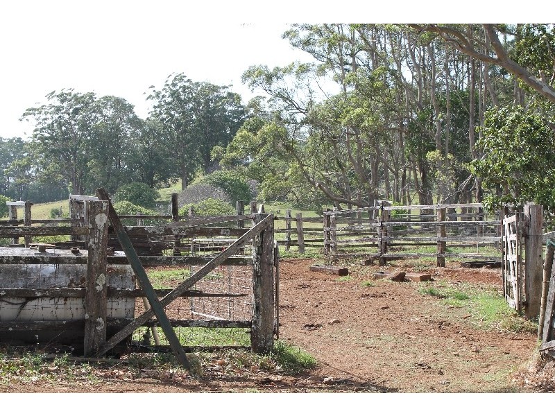 442 Coolgardie Road, Coolgardie NSW 2478