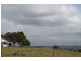 442 Coolgardie Road, Coolgardie NSW 2478