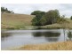 442 Coolgardie Road, Coolgardie NSW 2478