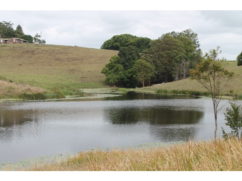 442 Coolgardie Road, Coolgardie NSW 2478