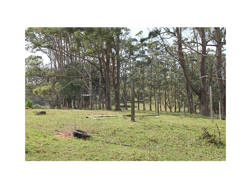 442 Coolgardie Road, Coolgardie NSW 2478