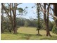 442 Coolgardie Road, Coolgardie NSW 2478