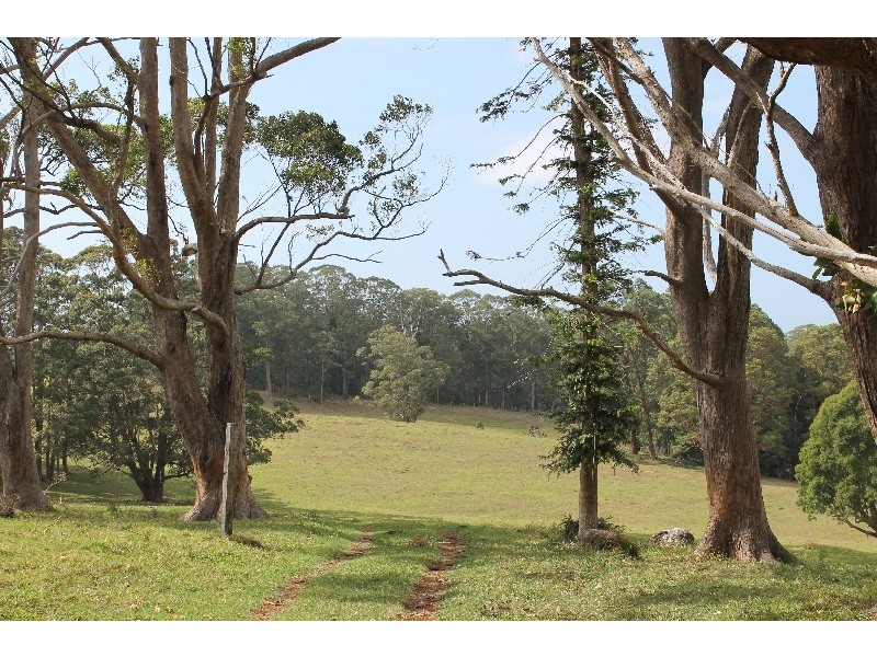 442 Coolgardie Road, Coolgardie NSW 2478