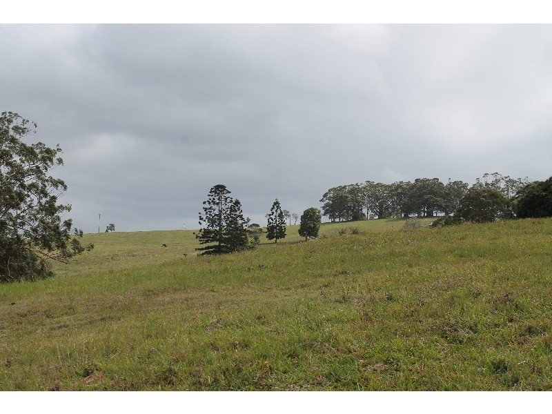442 Coolgardie Road, Coolgardie NSW 2478