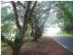 261 Alphadale Road, Lindendale NSW 2480