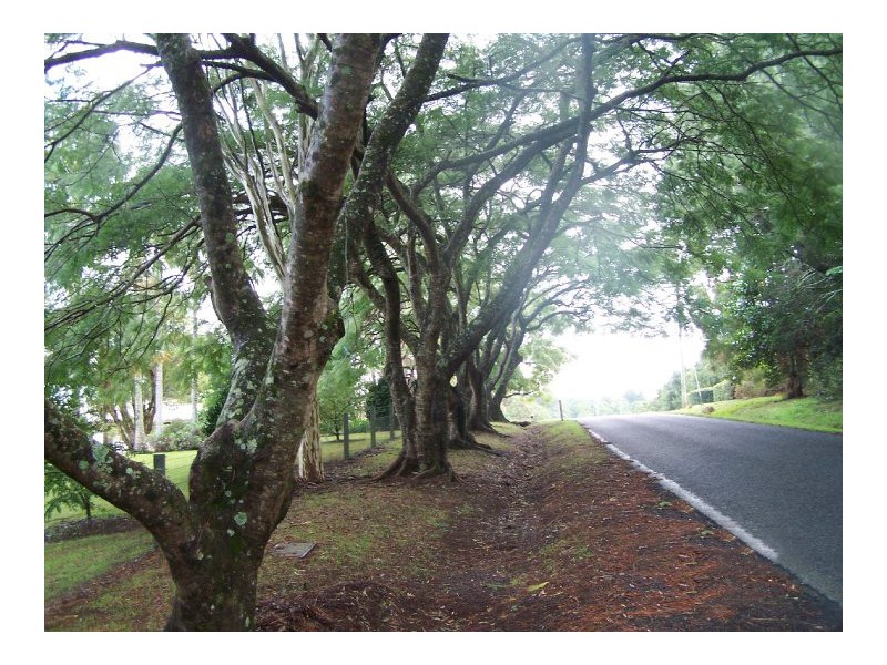 261 Alphadale Road, Lindendale NSW 2480
