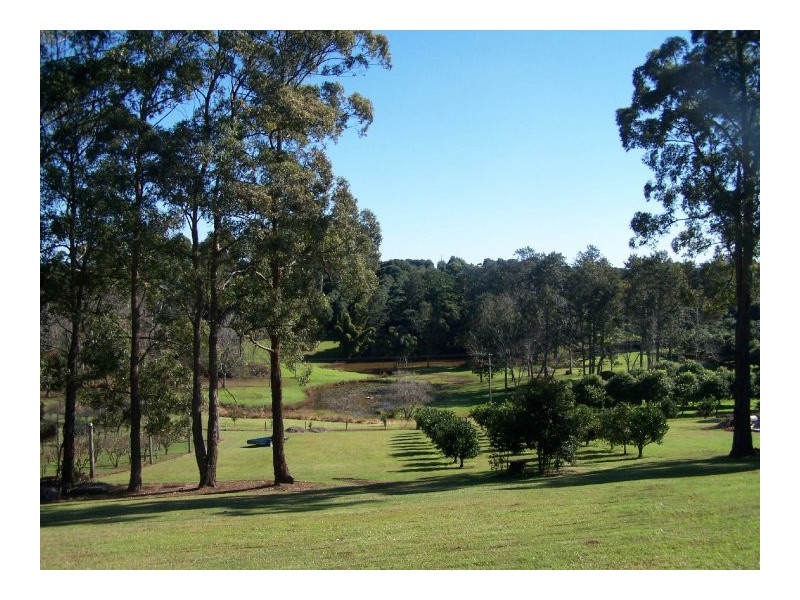 261 Alphadale Road, Lindendale NSW 2480