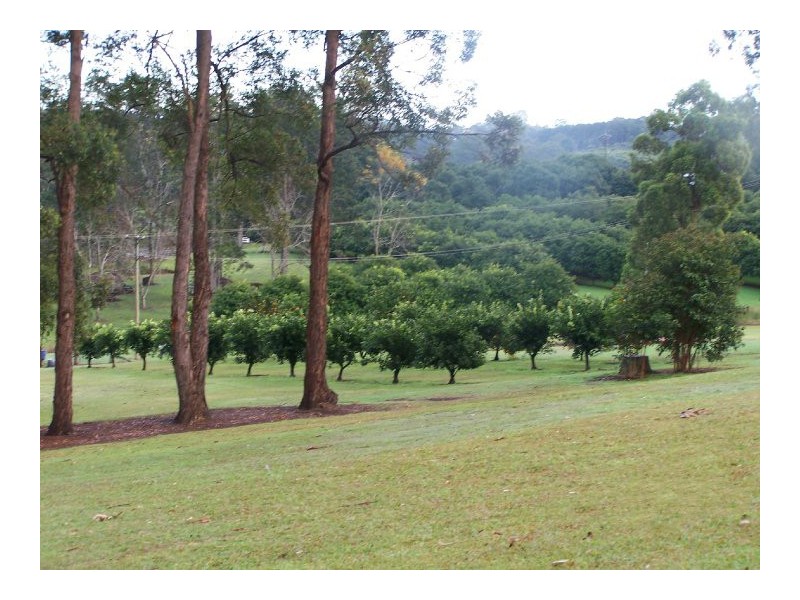 261 Alphadale Road, Lindendale NSW 2480