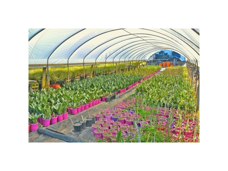 1056 Tamarind Drive, Tintenbar NSW 2478