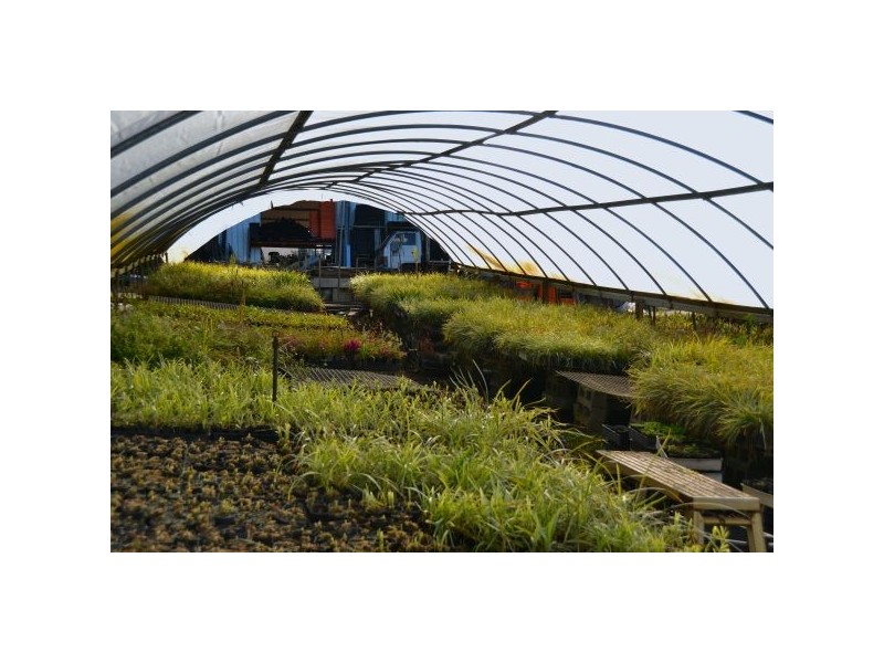 1056 Tamarind Drive, Tintenbar NSW 2478