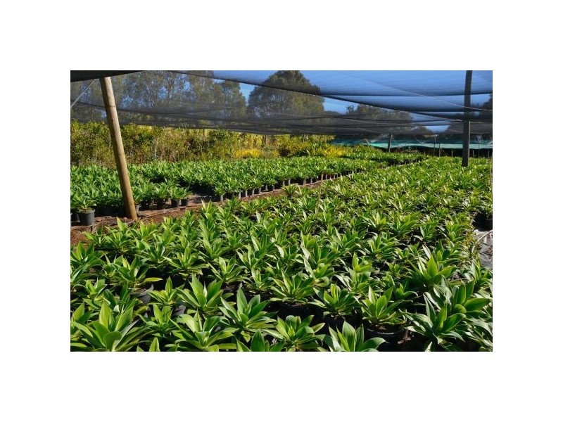 1056 Tamarind Drive, Tintenbar NSW 2478