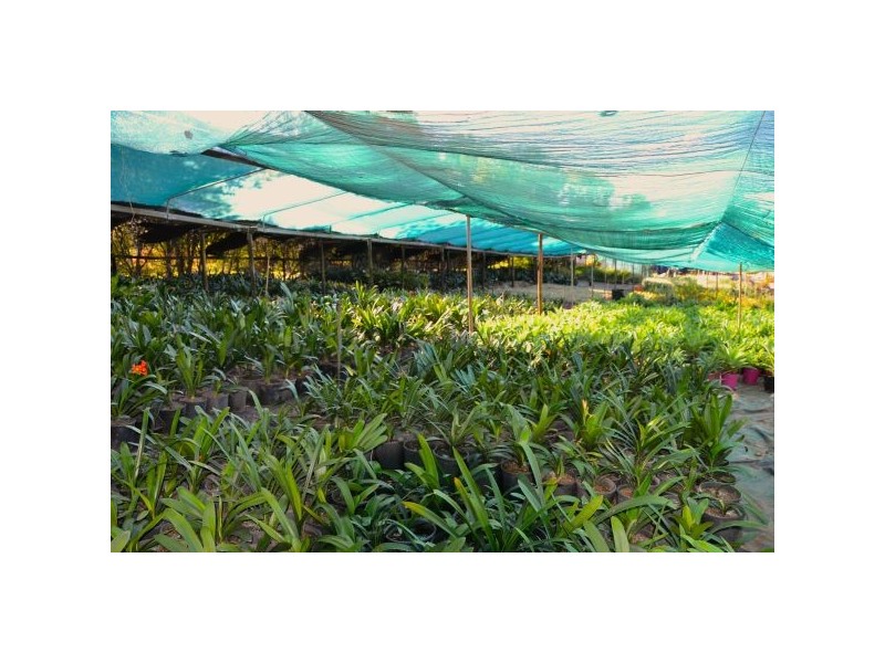 1056 Tamarind Drive, Tintenbar NSW 2478