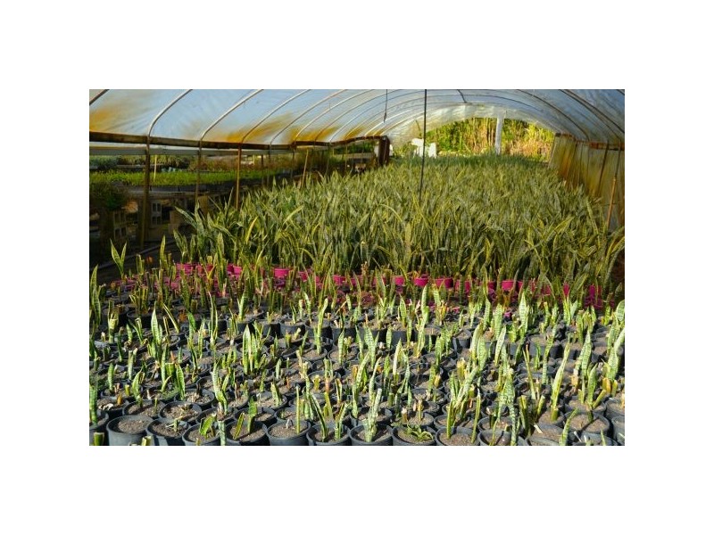 1056 Tamarind Drive, Tintenbar NSW 2478