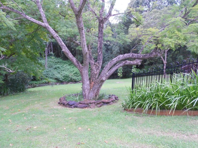 Chilcotts Grass NSW 2480