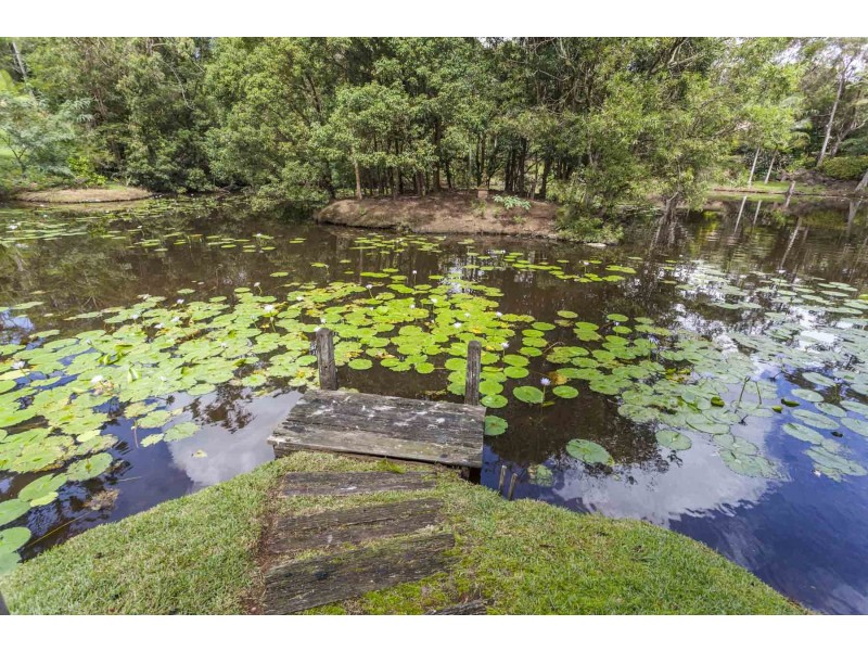 67 Platypus Drive, Uralba NSW 2477