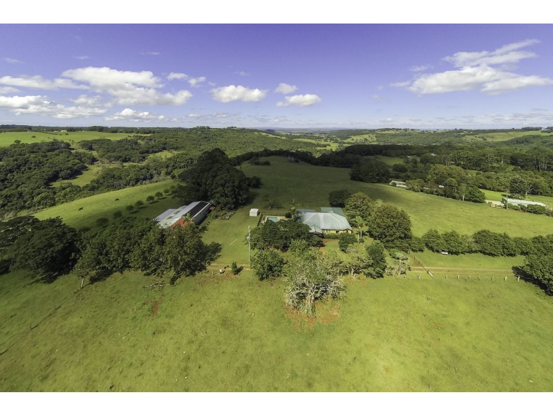 88 Mollys Grass Road, Tregeagle NSW 2480