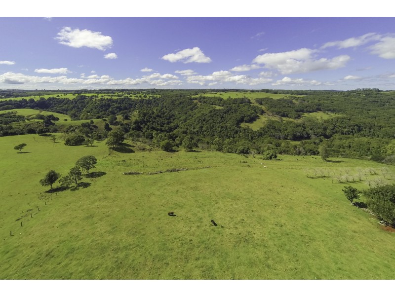 88 Mollys Grass Road, Tregeagle NSW 2480