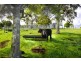 27 McInnes Lane, Tuckurimba NSW 2480
