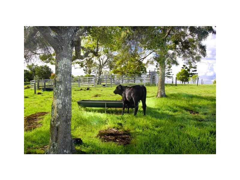 27 McInnes Lane, Tuckurimba NSW 2480