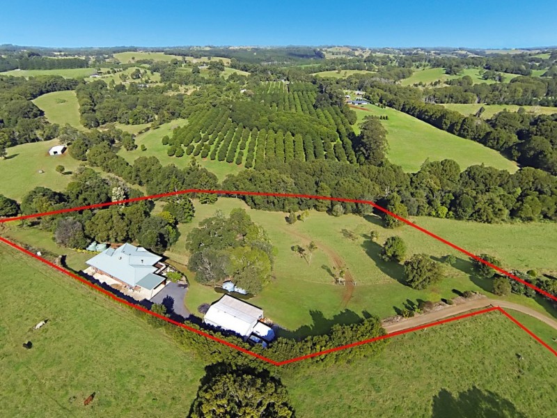 361 Humpty Back Rd, Mcleans Ridges NSW 2480