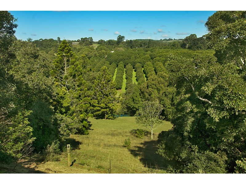 361 Humpty Back Rd, Mcleans Ridges NSW 2480