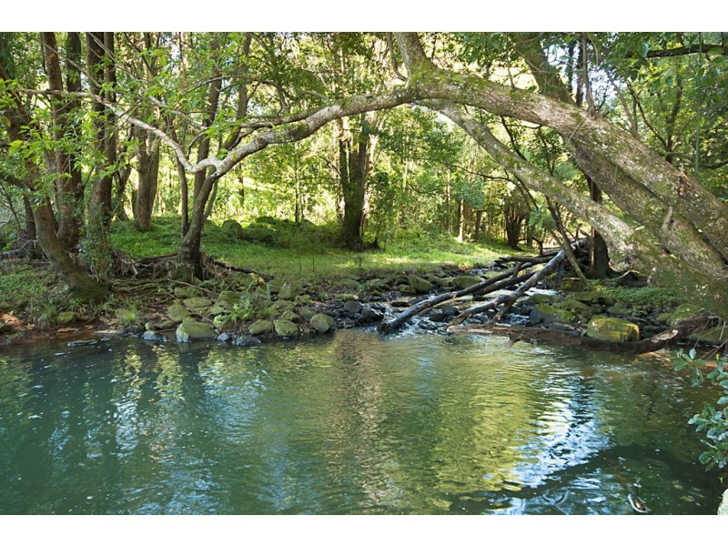 361 Humpty Back Rd, Mcleans Ridges NSW 2480