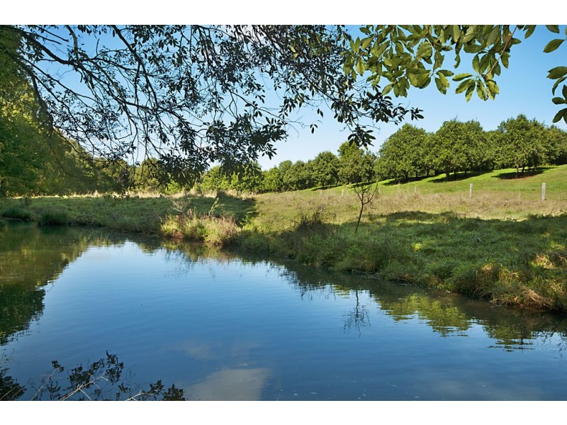 361 Humpty Back Rd, Mcleans Ridges NSW 2480