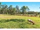 590 Bagotville Road, Meerschaum Vale NSW 2477
