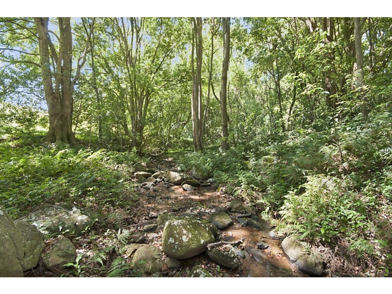 41 Gibsons Road, Alstonvale NSW 2477