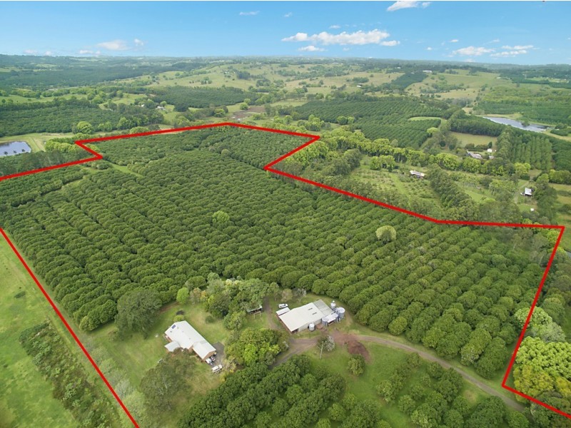 472 Cowlong Road, Mcleans Ridges NSW 2480