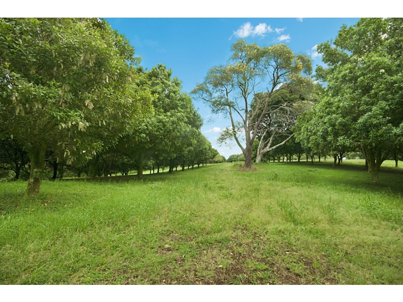 472 Cowlong Road, Mcleans Ridges NSW 2480