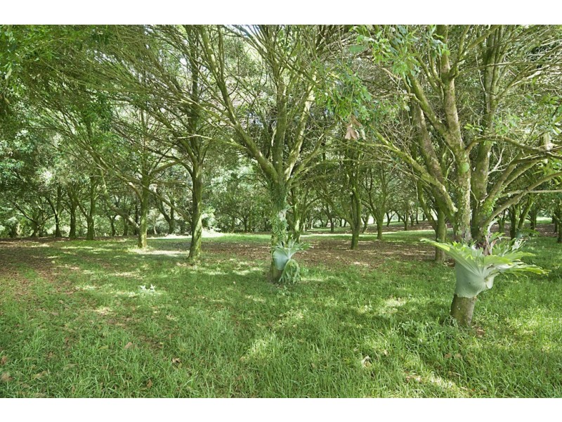 472 Cowlong Road, Mcleans Ridges NSW 2480