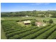 1050 Eltham Road, Pearces Creek NSW 2477