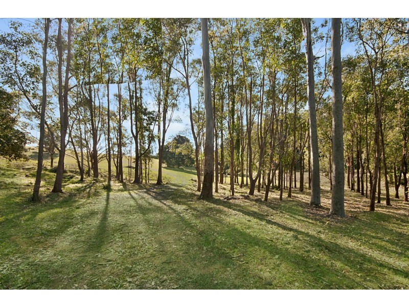 84 Meridian Drive, Coolgardie NSW 2478