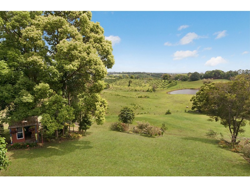 621 Pearces Creek Road, Alstonvale NSW 2477