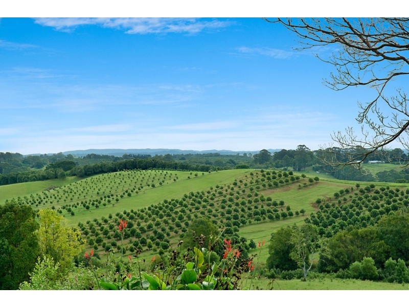 599 Pearces Creek Road, Alstonvale NSW 2477