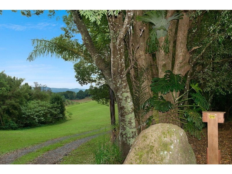 599 Pearces Creek Road, Alstonvale NSW 2477