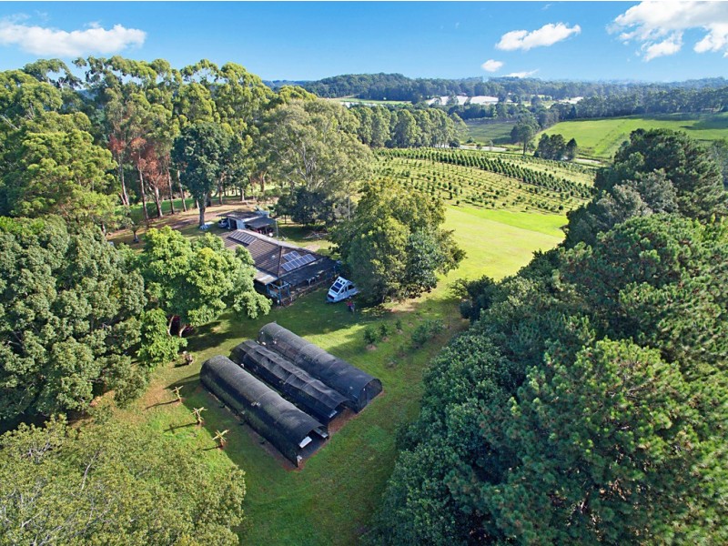 53 McLeans Ridges Road, Wollongbar NSW 2477