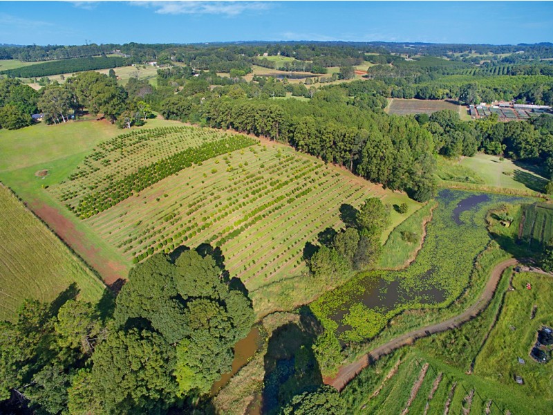 53 McLeans Ridges Road, Wollongbar NSW 2477