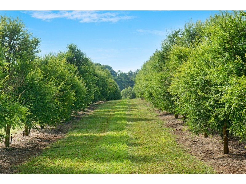 53 McLeans Ridges Road, Wollongbar NSW 2477