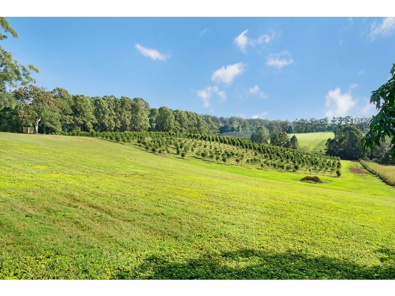 53 McLeans Ridges Road, Wollongbar NSW 2477