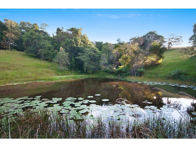 421 Coolgardie Road, Coolgardie NSW 2478