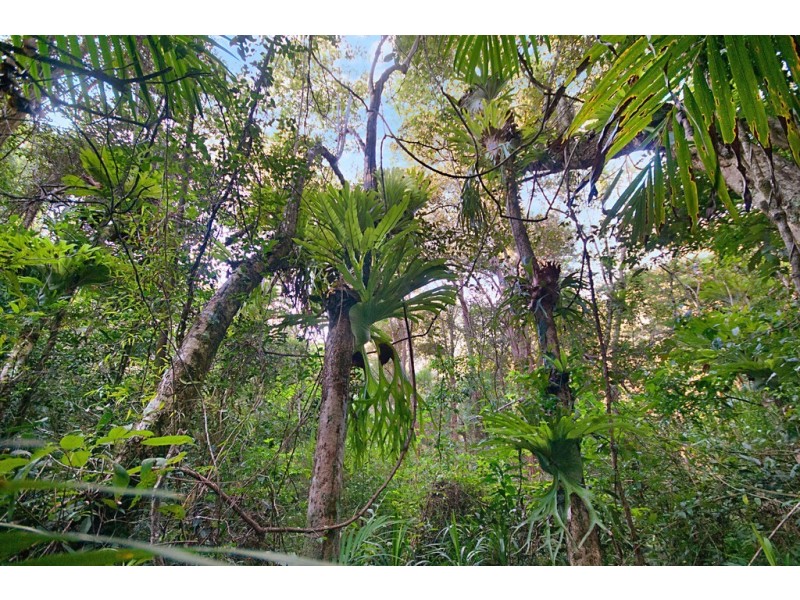 421 Coolgardie Road, Coolgardie NSW 2478