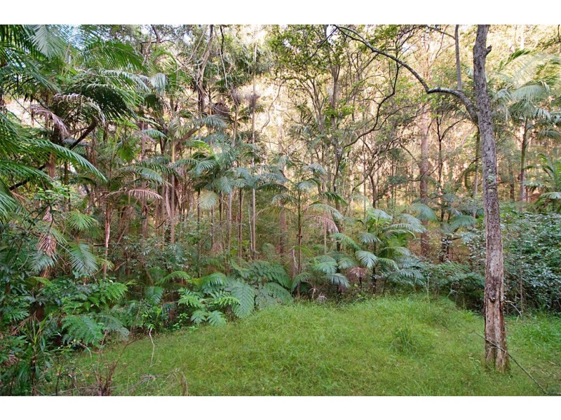 421 Coolgardie Road, Coolgardie NSW 2478