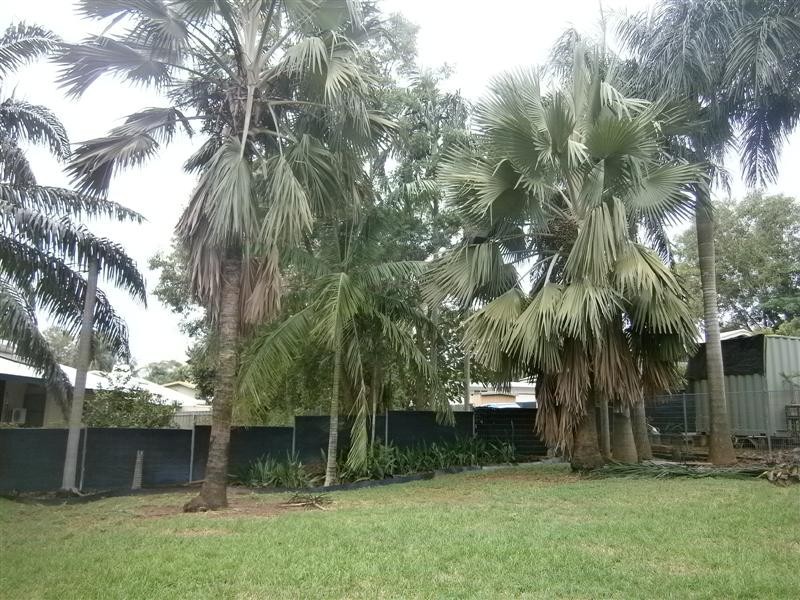 20 Springhill Street, Anula NT 0812