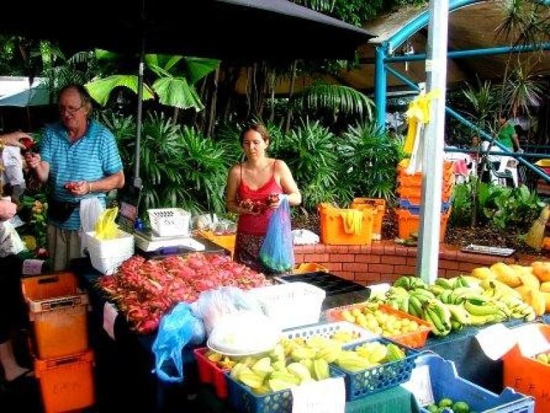 5/19 Bougainvilia, Nightcliff NT 0810