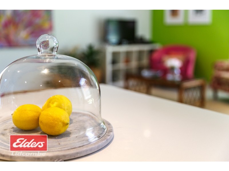 9 JACARANDA AVENUE, Lidcombe NSW 2141